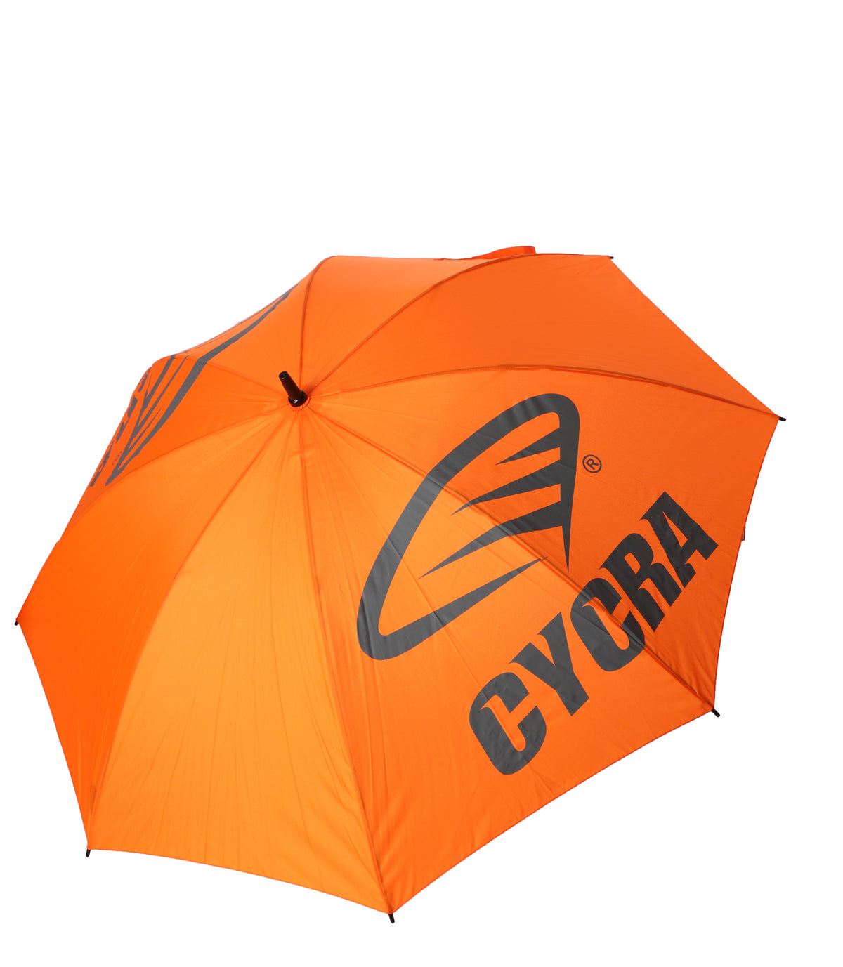 PARAPLUIE