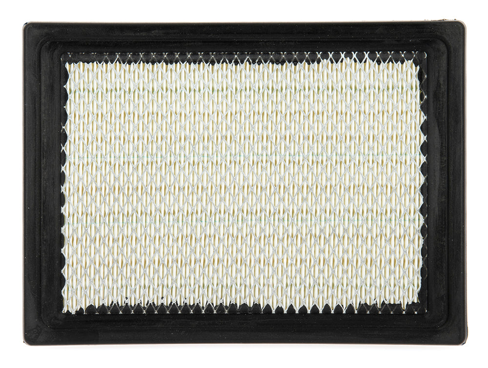 Filtre à Air Polaris 