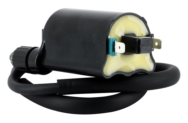 Bobine d'allumage Honda 12V - 2.7 Ohm Entraxe 80mm 2 Fils