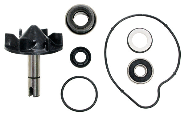 Kit Pompe à Eau Tmax 530 2012-2016