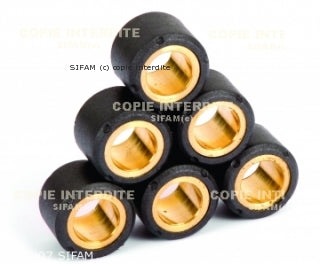 Kit Galets de Variateur x8 Ø28x20 - 26g