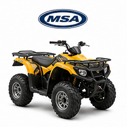 MSA