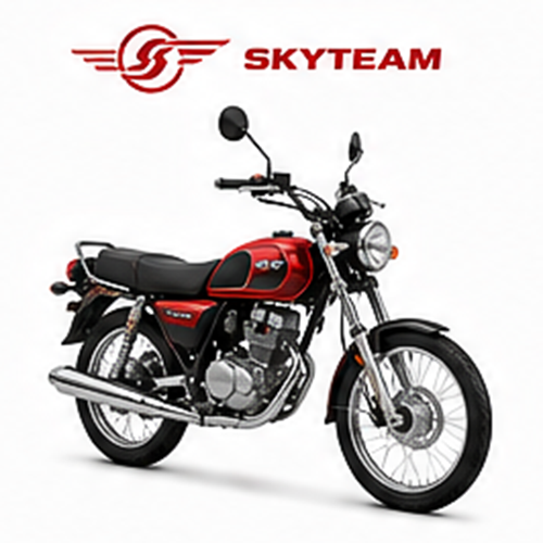 SKY TEAM
